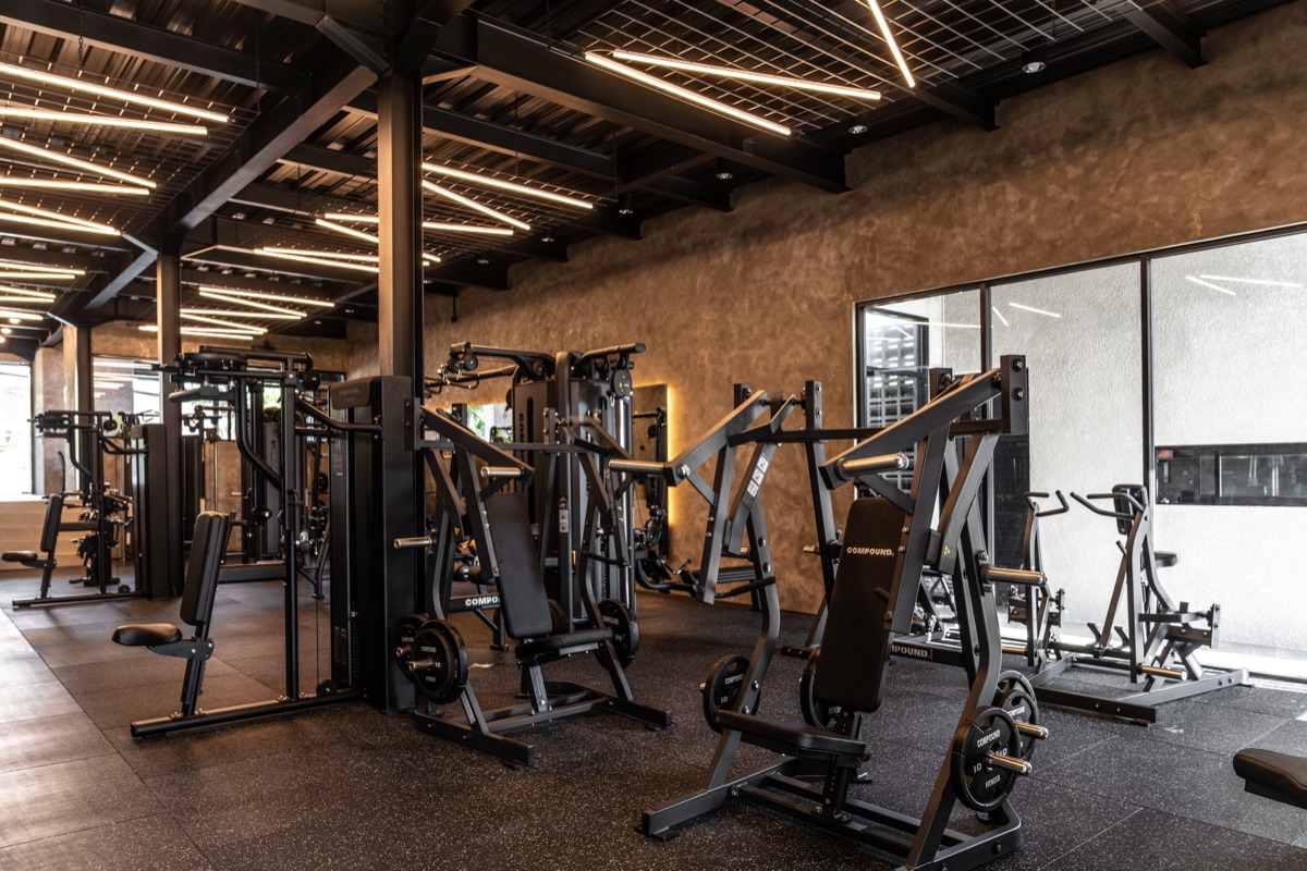 Plate-loaded strength machines under an exposed timber roof on The Compound gym floor